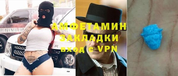 ГАЛЛЮЦИНОГЕННЫЕ ГРИБЫ Лагань