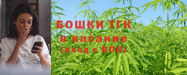 ГАЛЛЮЦИНОГЕННЫЕ ГРИБЫ Лагань