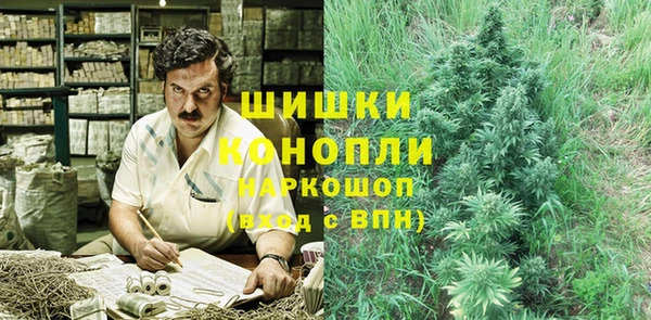 эйфоретик Ладушкин