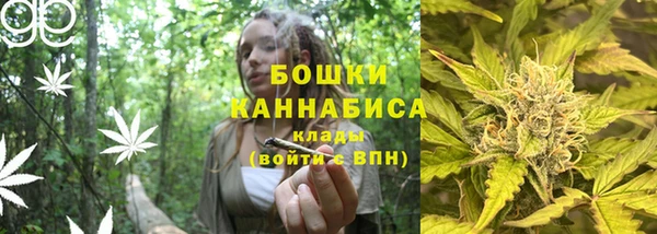 эйфоретик Ладушкин