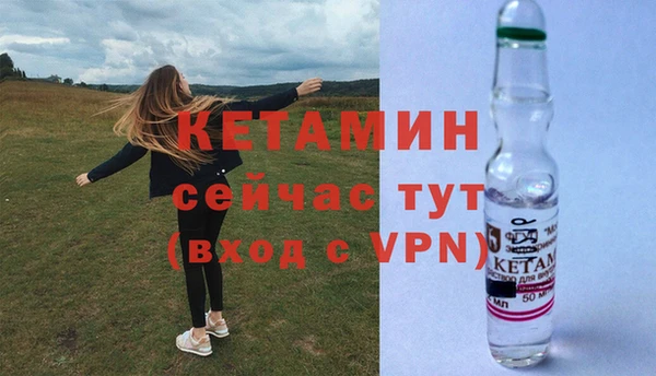 ГАЛЛЮЦИНОГЕННЫЕ ГРИБЫ Лагань