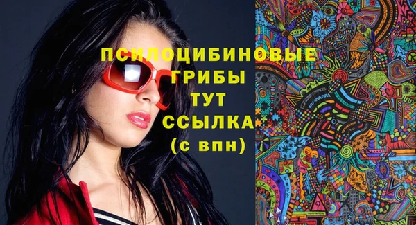 ГАЛЛЮЦИНОГЕННЫЕ ГРИБЫ Лагань