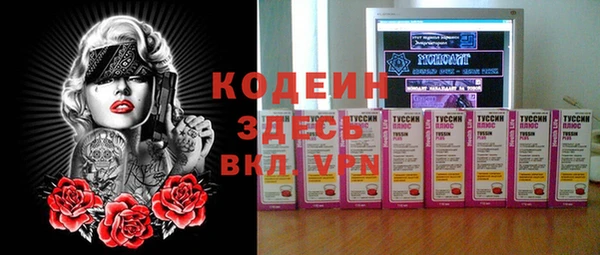 ГАЛЛЮЦИНОГЕННЫЕ ГРИБЫ Лагань
