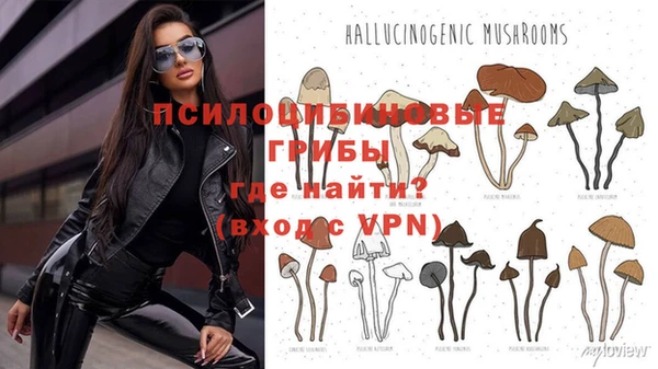 ГАЛЛЮЦИНОГЕННЫЕ ГРИБЫ Лагань