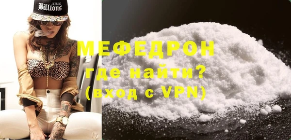 индика Пенза