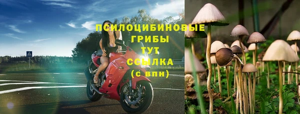 эйфоретик Ладушкин