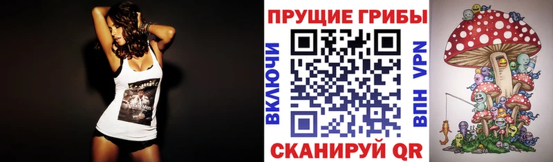 Псилоцибиновые грибы прущие грибы  купить наркоту  Норильск 