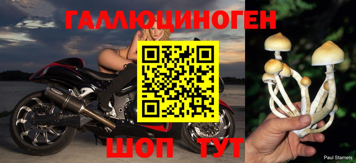 Псилоцибиновые грибы мицелий  Галлюциногенные грибы Cubensis  Вход с VPN  Норильск 